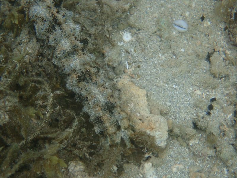 Viewing photos→2018→2018-09-10-2→37