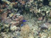 38.jpg - 2018:09:13 04:15:44