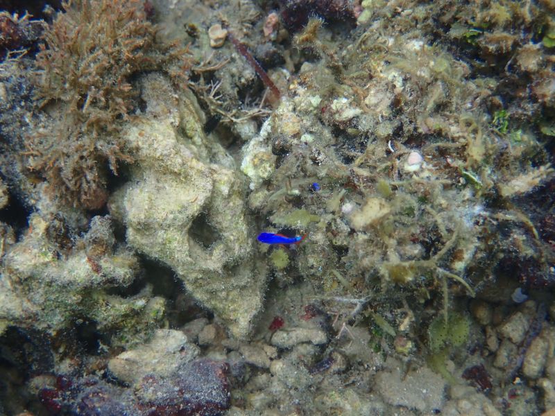 Viewing photos→2018→2018-09-10-2→39