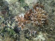 40.jpg - 2018:09:13 04:17:02