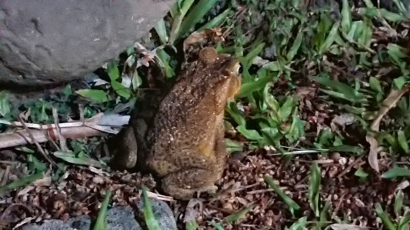 Viewing photos→2018→2018-09-10-2→42