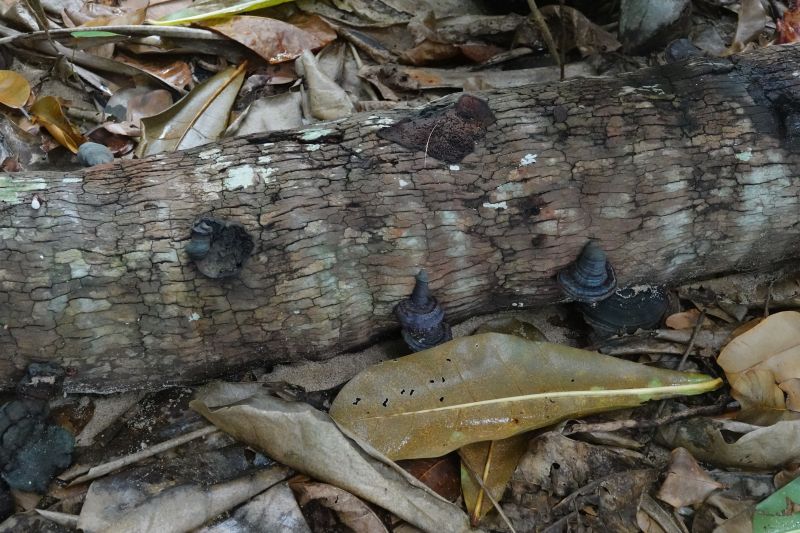 Viewing photos→2018→2018-09-11→001