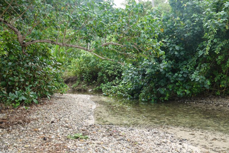 Viewing photos→2018→2018-09-11→003