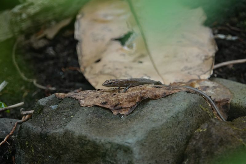 Viewing photos→2018→2018-09-11→006