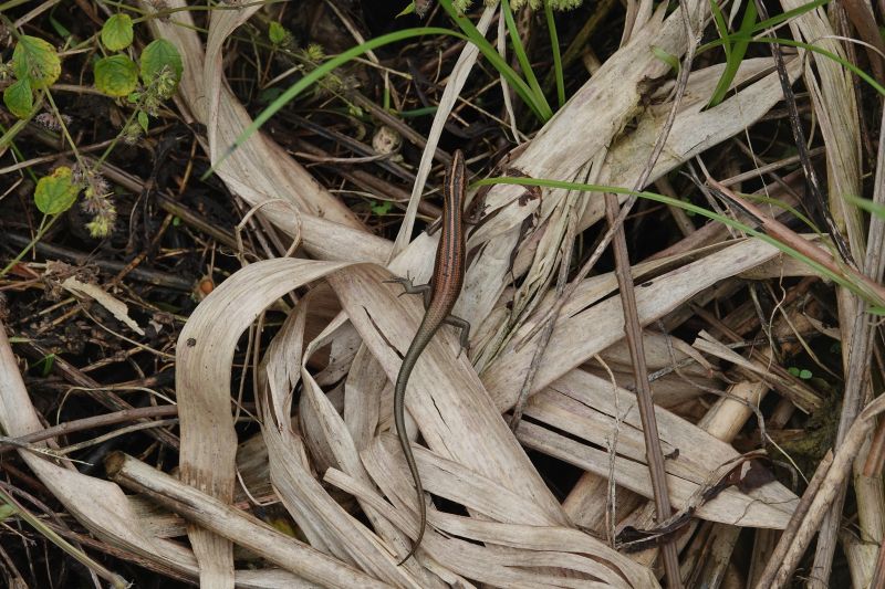 Viewing photos→2018→2018-09-11→018