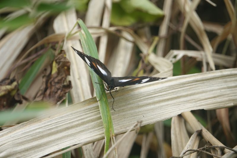 Viewing photos→2018→2018-09-11→019