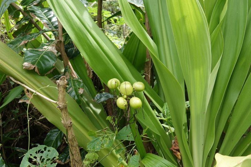 Viewing photos→2018→2018-09-11→026