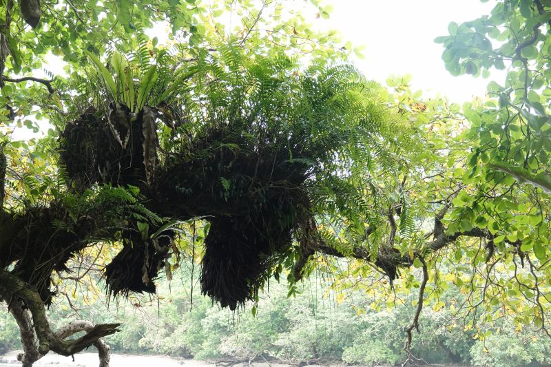 Viewing photos→2018→2018-09-11→029