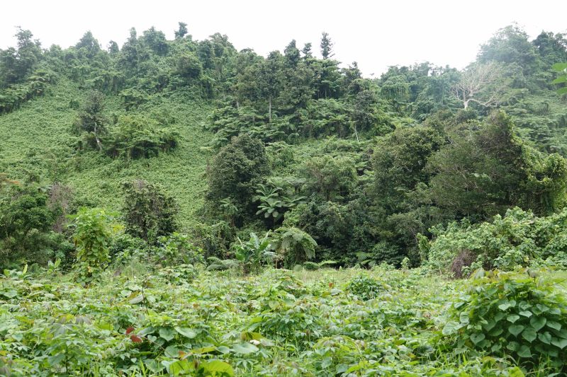 Viewing photos→2018→2018-09-11→034