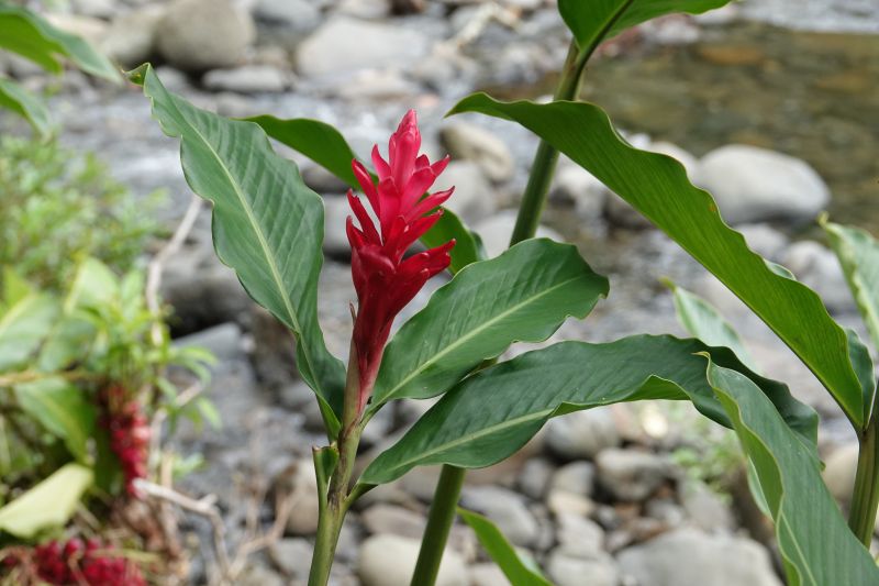 Viewing photos→2018→2018-09-11→037