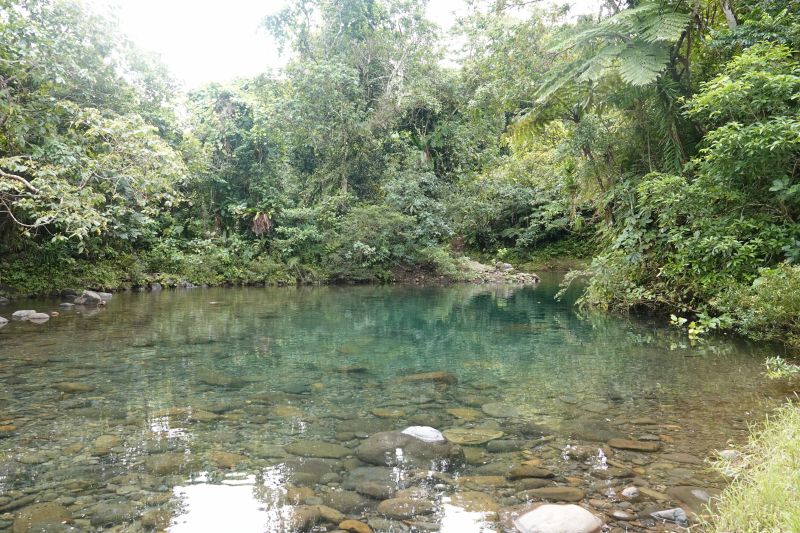 Viewing photos→2018→2018-09-11→038