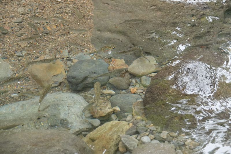 Viewing photos→2018→2018-09-11→047