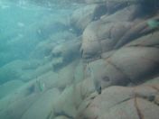 052.jpg - 2018:09:11 00:21:11