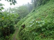 054.jpg - 2018:09:11 00:57:43