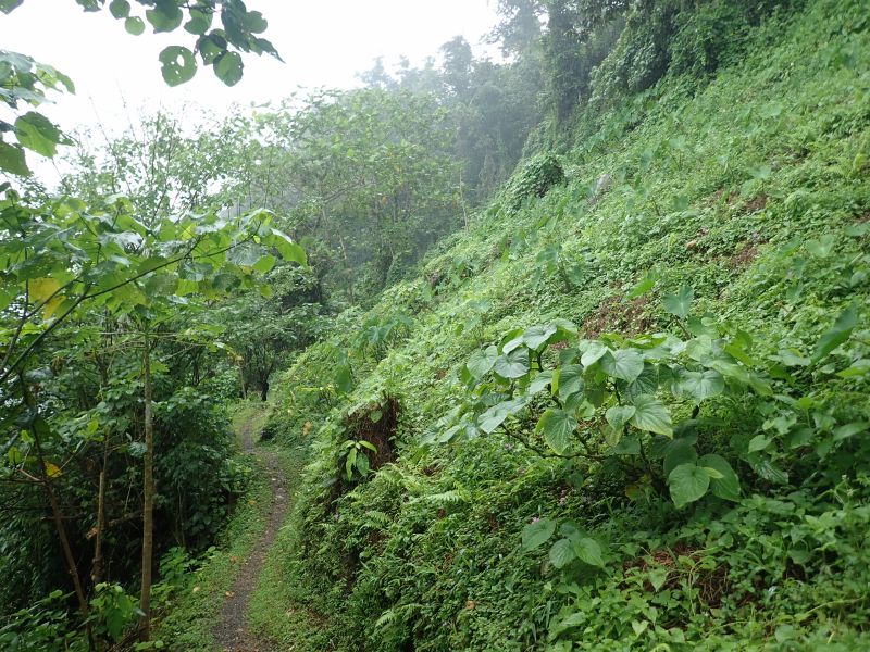 Viewing photos→2018→2018-09-11→054