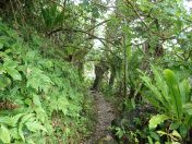 056.jpg - 2018:09:11 00:58:19