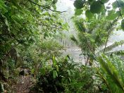 057.jpg - 2018:09:11 00:58:33