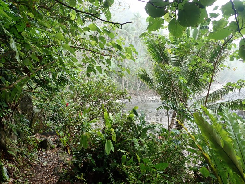 Viewing photos→2018→2018-09-11→057