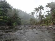 059.jpg - 2018:09:11 01:01:02