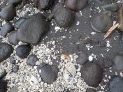 060.jpg - 2018:09:11 01:01:50