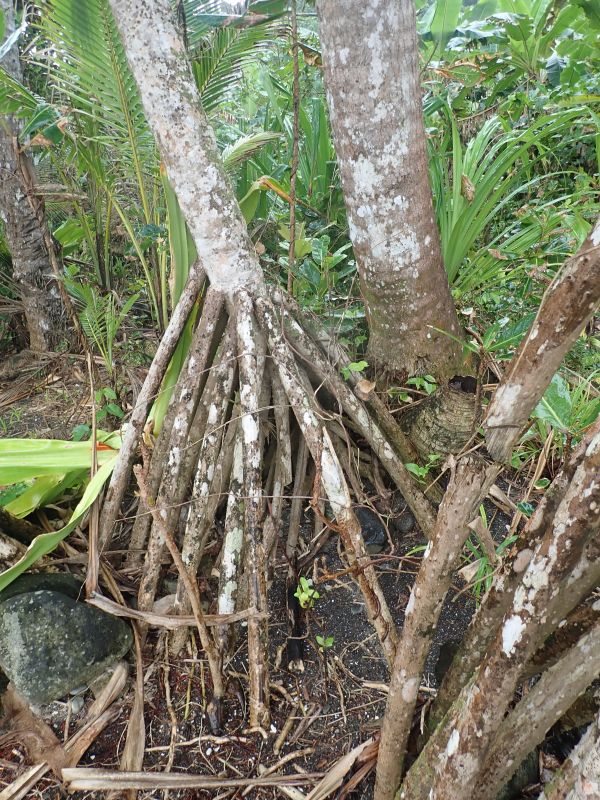 Viewing photos→2018→2018-09-11→061