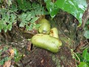 062.jpg - 2018:09:11 01:05:02