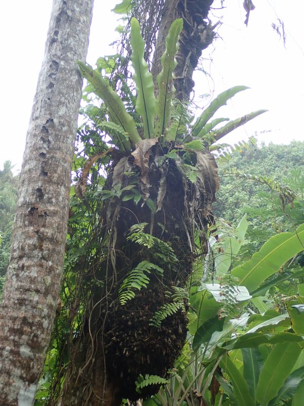 Viewing photos→2018→2018-09-11→064