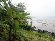 065.jpg - 2018:09:11 01:07:49