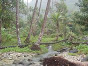 068.jpg - 2018:09:11 01:10:42