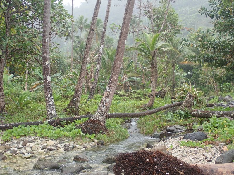 Viewing photos→2018→2018-09-11→068