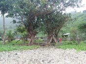 072.jpg - 2018:09:11 01:11:56