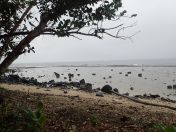 073.jpg - 2018:09:11 01:12:55