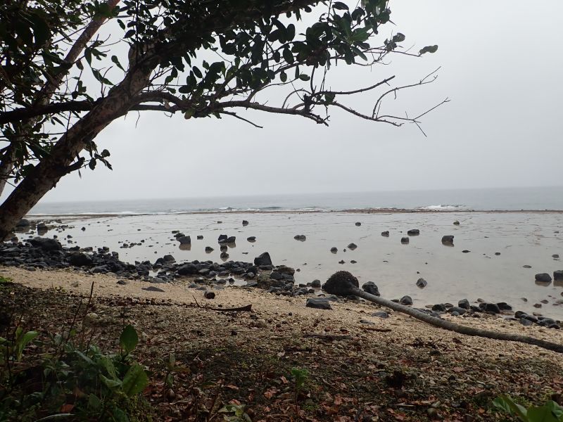 Viewing photos→2018→2018-09-11→073