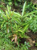 074.jpg - 2018:09:11 01:13:34