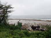 075.jpg - 2018:09:11 01:14:18