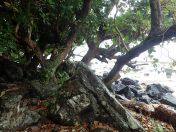 076.jpg - 2018:09:11 01:16:27