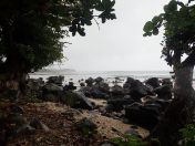 077.jpg - 2018:09:11 01:16:50