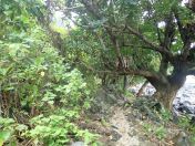 078.jpg - 2018:09:11 01:19:08