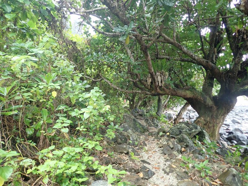 Viewing photos→2018→2018-09-11→078