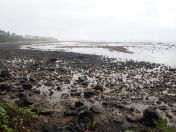 079.jpg - 2018:09:11 01:25:41