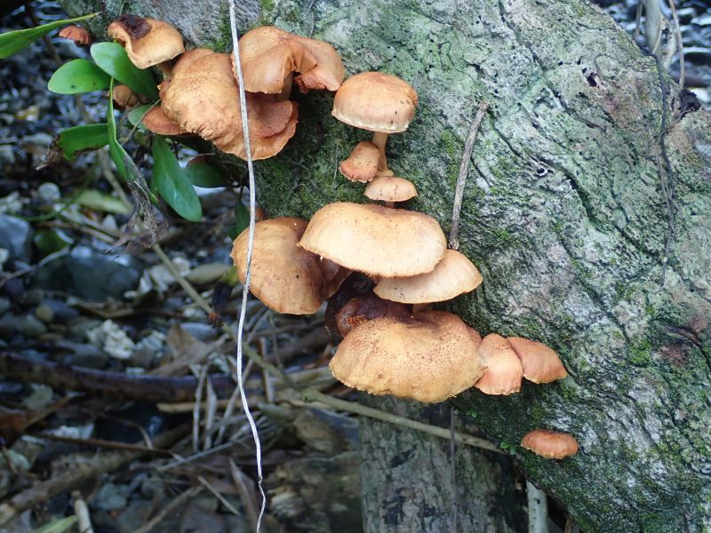 Viewing photos→2018→2018-09-11→080