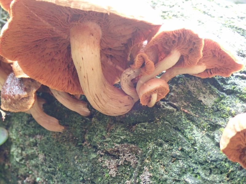 Viewing photos→2018→2018-09-11→081