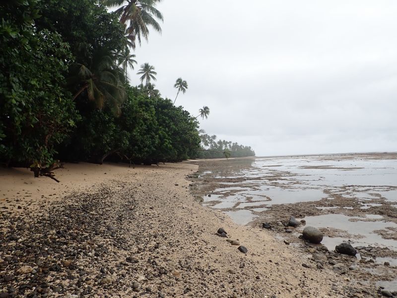 Viewing photos→2018→2018-09-11→082