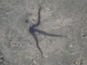 083.jpg - 2018:09:11 01:31:24