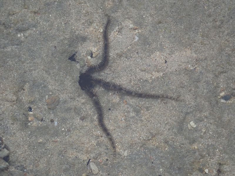 Viewing photos→2018→2018-09-11→083