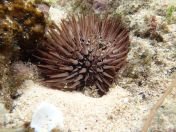 086.jpg - 2018:09:11 01:42:50