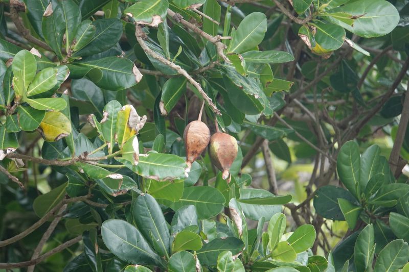 Viewing photos→2018→2018-09-11→094