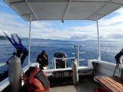 002.jpg - 2018:09:11 20:42:31