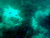 003.jpeg - 2018:09:11 20:51:37