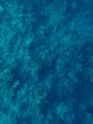 005.jpeg - 2018:09:11 20:52:21